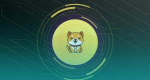 What is Baby Doge Coin? Baby Doge Coin