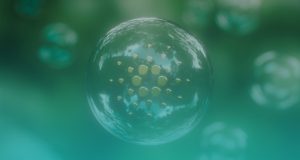 Why Cardano will Rise in 2022 Cardano